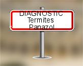 Diagnostic Termite AC Environnement  à Panazol